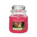 Bougie  parfumée JUNGLE TROPICALE-Yankee Candle