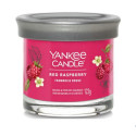 Bougie parfumée FRAMBOISE ROUGE-Yankee Candle