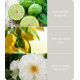 Bougie parfumée ANGE GARDIEN Heart and Home