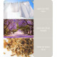 Bougie parfumée LINGE FRAIS Heart and Home