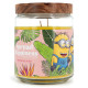 Bougie Minions Spread Happiness Grande Jarre, parfum fruité et gourmand aux notes de cerise, pomme, citron vert, fraise, orange,