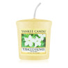 FLEUR DE TABAC 