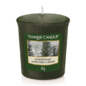 Bougie parfumée SAPINS DANS LA BRUME-Yankee Candle