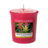Bougie parfumée votive Yankee Candle JUNGLE TROPICALE