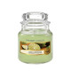 CORIANDRE ET CITRON VERT