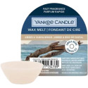 Fondant parfumé AMBRE ET BOIS DE SANTAL-Yankee Candle