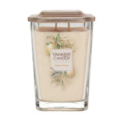 Bougie parfumée VERGER AGRUMES-Yankee Candle