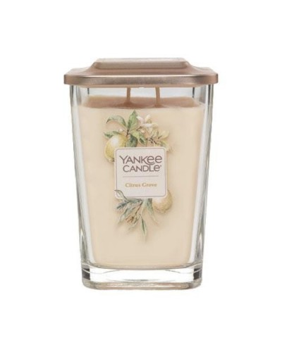 VERGER AGRUMES-Yankee Candle