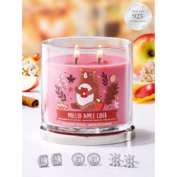 Bougie parfumée MULLED APPLE CIDER-Charmed Aroma