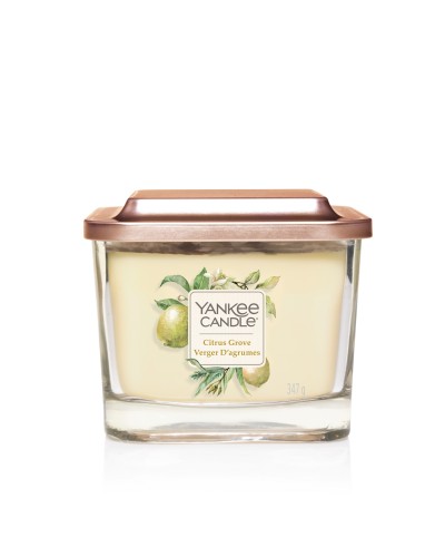 VERGER D'AGRUMES-Yankee Candle