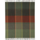 PLAID SHEFFIELD GREEN 130X170