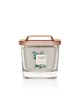 Bougie parfumée petite jarre Élévtion Yankee Candle BERGAMOTE EXOTIQUE