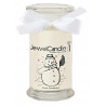Bougie parfumée WINTER WONDERLAND - Jewel Candle