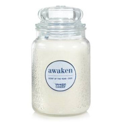 Bougie parfumée grande jarre Yankee Candle SCENT OF THE YEAR