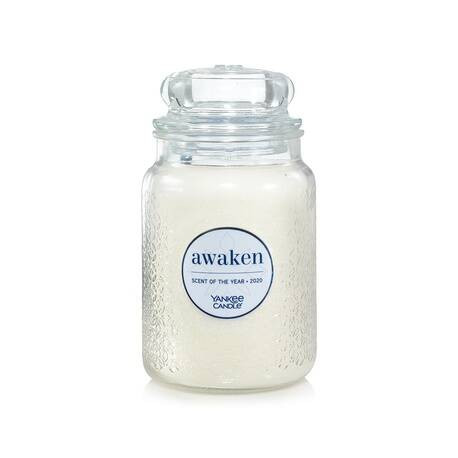 Bougie parfumée grande jarre Yankee Candle SCENT OF THE YEAR