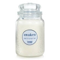 Bougie parfumée SCENT OF THE YEAR-Yankee Candle