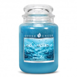 Bougie parfumée PLUIE FRAICHE-Goose Creek