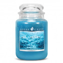Bougie parfumée PLUIE FRAICHE-Goose Creek