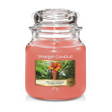 Bougie parfumée THE LAST PARADISE-Yankee Candle