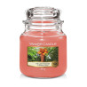 Bougie parfumée moyenne jarre Yankee Candle THE LAST PARADISE