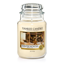 MERVEILLE HIVER-Yankee Candle