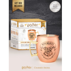 Bougie parfumée COPPER MUG-Harry Potter