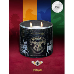 Bougie parfumée HUFFLEPUFF-Harry Potter