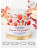 Bougie parfumée ENCHANTED ORCHARD-Charmed Aroma