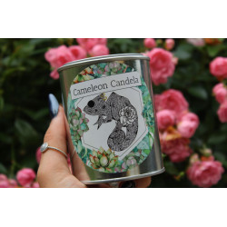 POMME CANNELLE HÉLIX