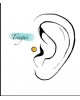 FLEUR DE LIN TRAGUS