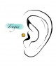 POMME CANNELLE TRAGUS