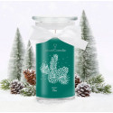 Bougie parfumée FROSTY PINE - Jewel Candle