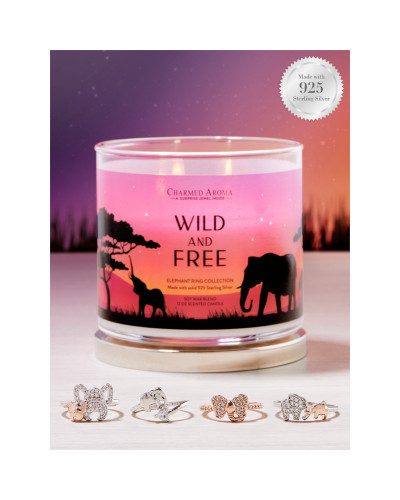 WILD & FREE-Charmed Aroma