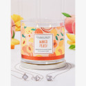Bougie parfumée MANGO PEACH-Charmed Aroma