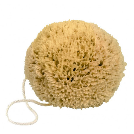 EPONGE NATURELLE Fer a Cheval