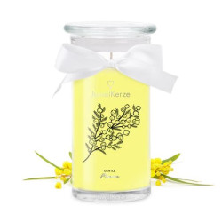 Bougie parfumée GENTILE MIMOSA - Jewel Candle