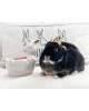  Bougie parfumée MARSHMALLOW BUNNY-Charmed Arom