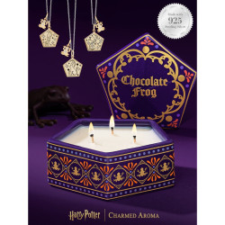 Bougie parfumée CHOCOLATE FROG-Harry Potter