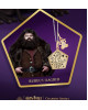 Bougie parfumée CHOCOLATE FROG-Harry Potter