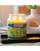 Bougie Haribo Coconut Lime en grande jarre, parfum exotique et frais pour une ambiance tropicale.