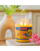 Bougie Haribo Tropical Fun en grande jarre, parfum exotique et gourmand pour une ambiance estivale.