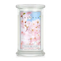 Bougie parfumée CHERRY BLOSSOM-Kringle Candle