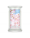 CHERRY BLOSSOM-Kringle Candle