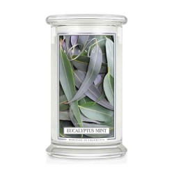 Bougie parfumée EUCALYPTUS MINTH-Kringle Candle