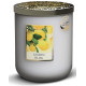 Bougie parfumée CITRON D'AMALFI Heart and Home