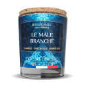 LE MALE BRANCHE-ODYSSÉE DES SENS