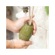 SAVON de Marseille Pur Huile d'Olive-Fer a Cheval