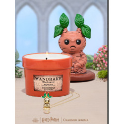 MANDRAKE-Charmed Aroma-Harry Potter