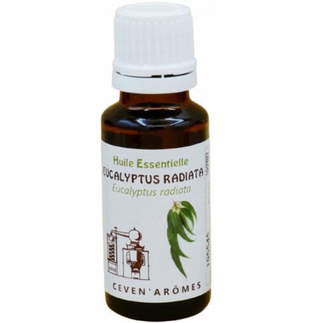 EUCALYPTUS RADIATA 20ML