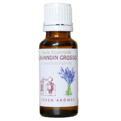 LAVANDIN GROSSO 20ML